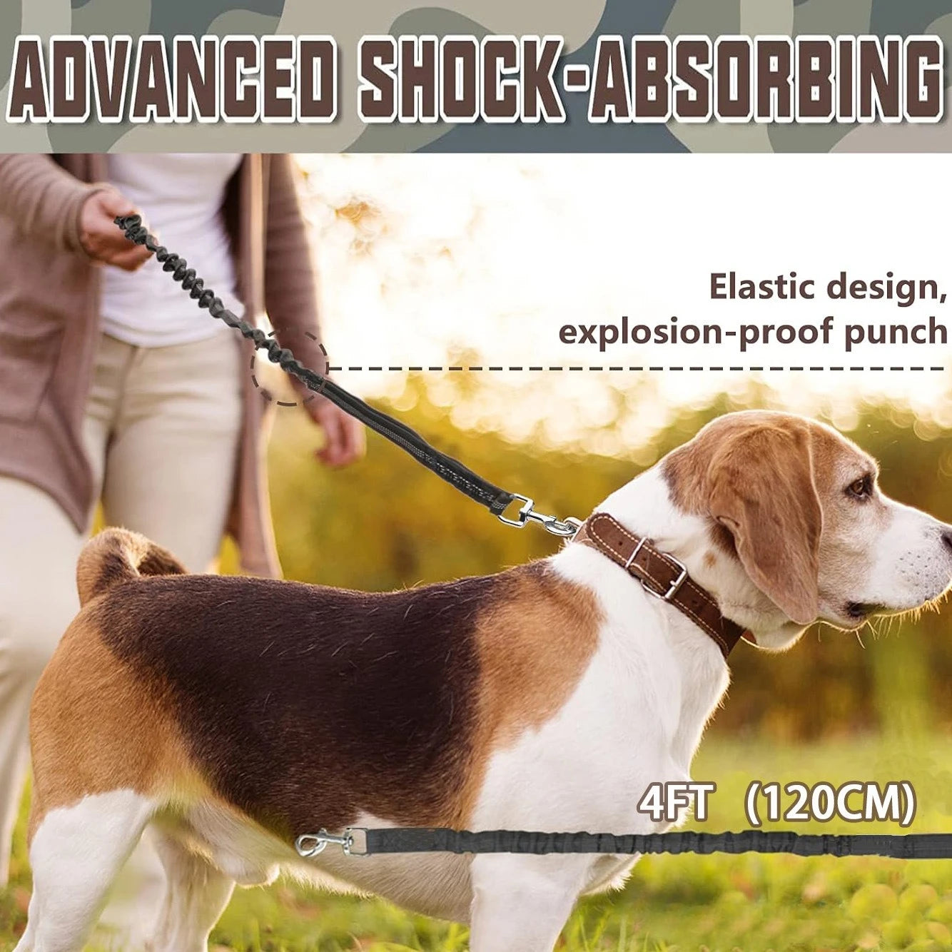 Laisse de dressage élastique antichoc pour chien