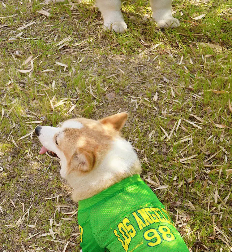 LA Style Dog Cooling Vest | Summer Breathable Shirt for Small to Large Dogs