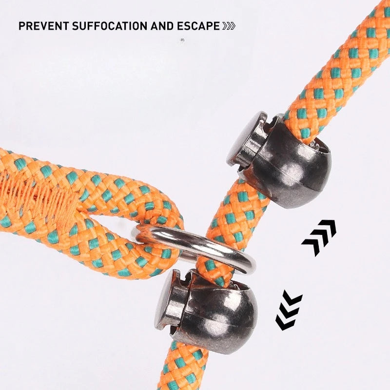Laisse-collier étrangleur anti-nœuds réglable pour petits chiens