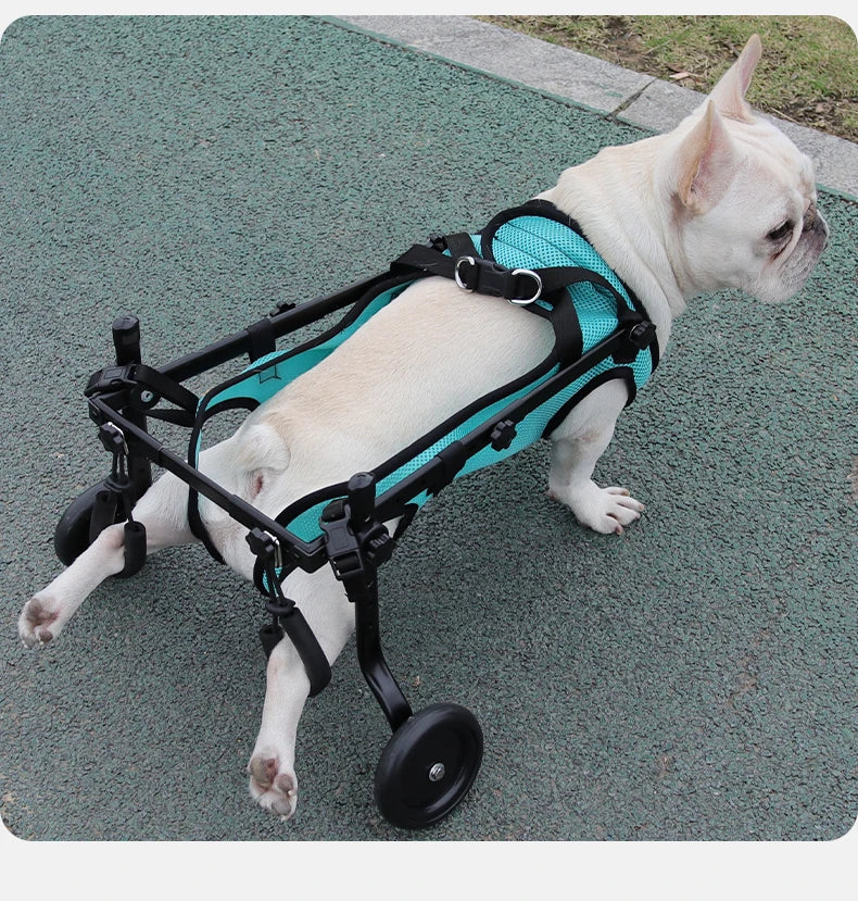 Dog Rehabilitation & Mobility Support Harness – Chest & Back Lifting Aid for Disabled & Recovering Dogs