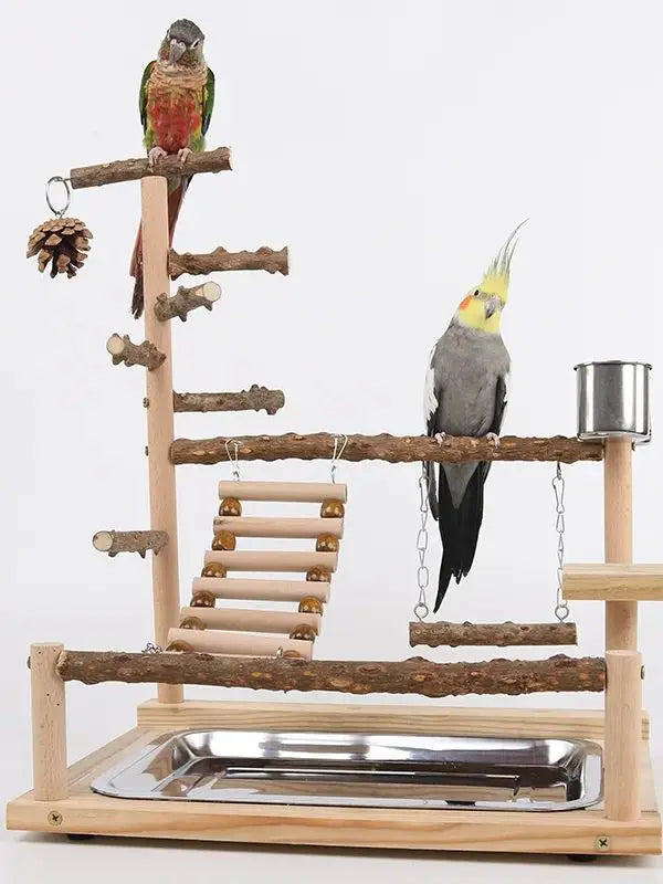Perchoir d'escalade en bois naturel pour perroquets avec balançoire, échelle et pont suspendu