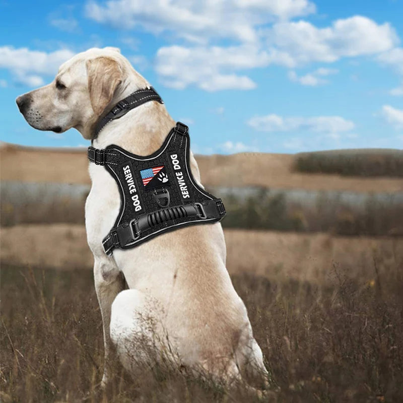 Dog Harness Set — Chest Vest, Shock-Absorbing Lead, Folding Bowl & Waste Bags