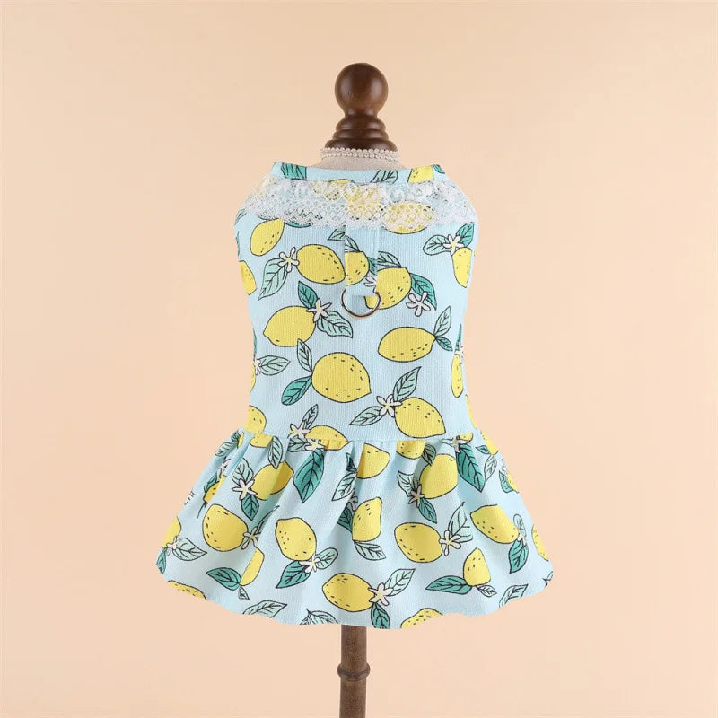 Princess Cooling Dress for Small Dogs & Cats with Leash Ring