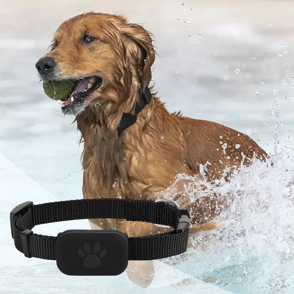 Wearable Pet Locator with Adjustable Silicone Collar for Dogs & Cats