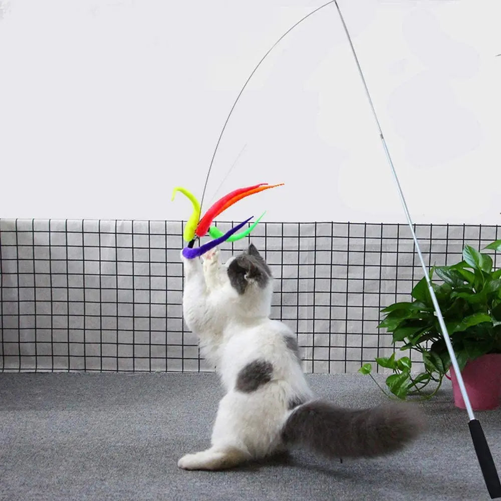 Lot de recharges pour canne à pêche pour chat