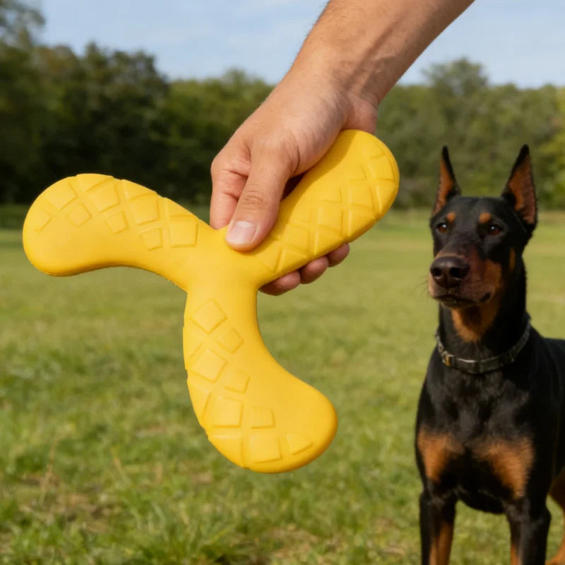 Indestructible EVA Boomerang Flying Disc & Chew Toy for Large Dogs