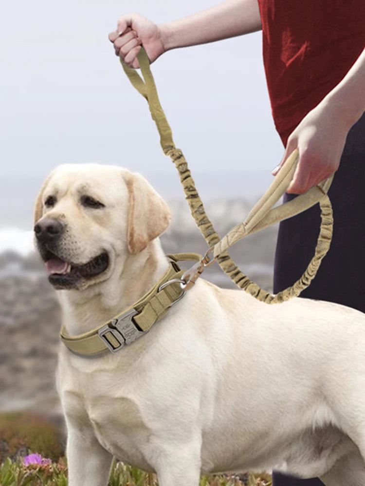 Durable Nylon Dog Collar & Leash Set for Large Dogs