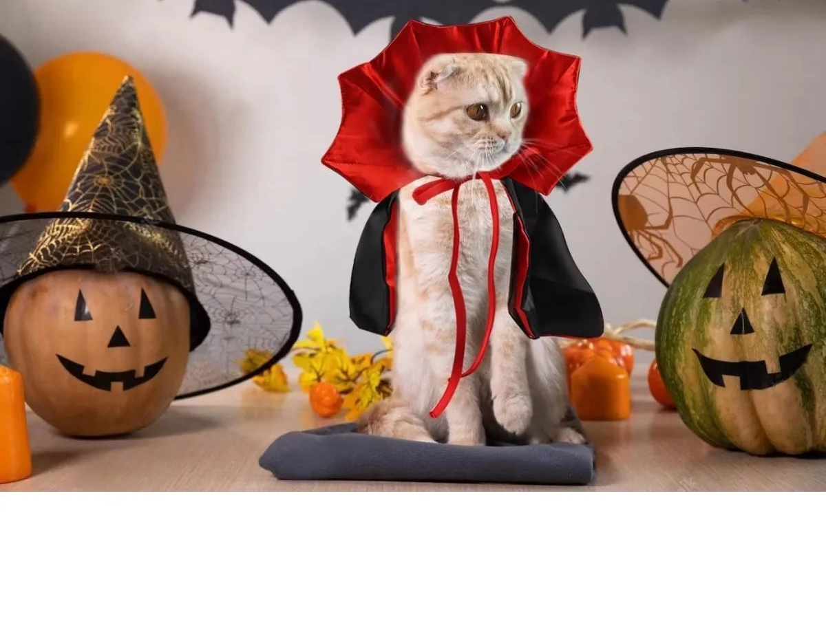 Cape de vampire pour chat – Costume d'Halloween réglable pour animaux de compagnie