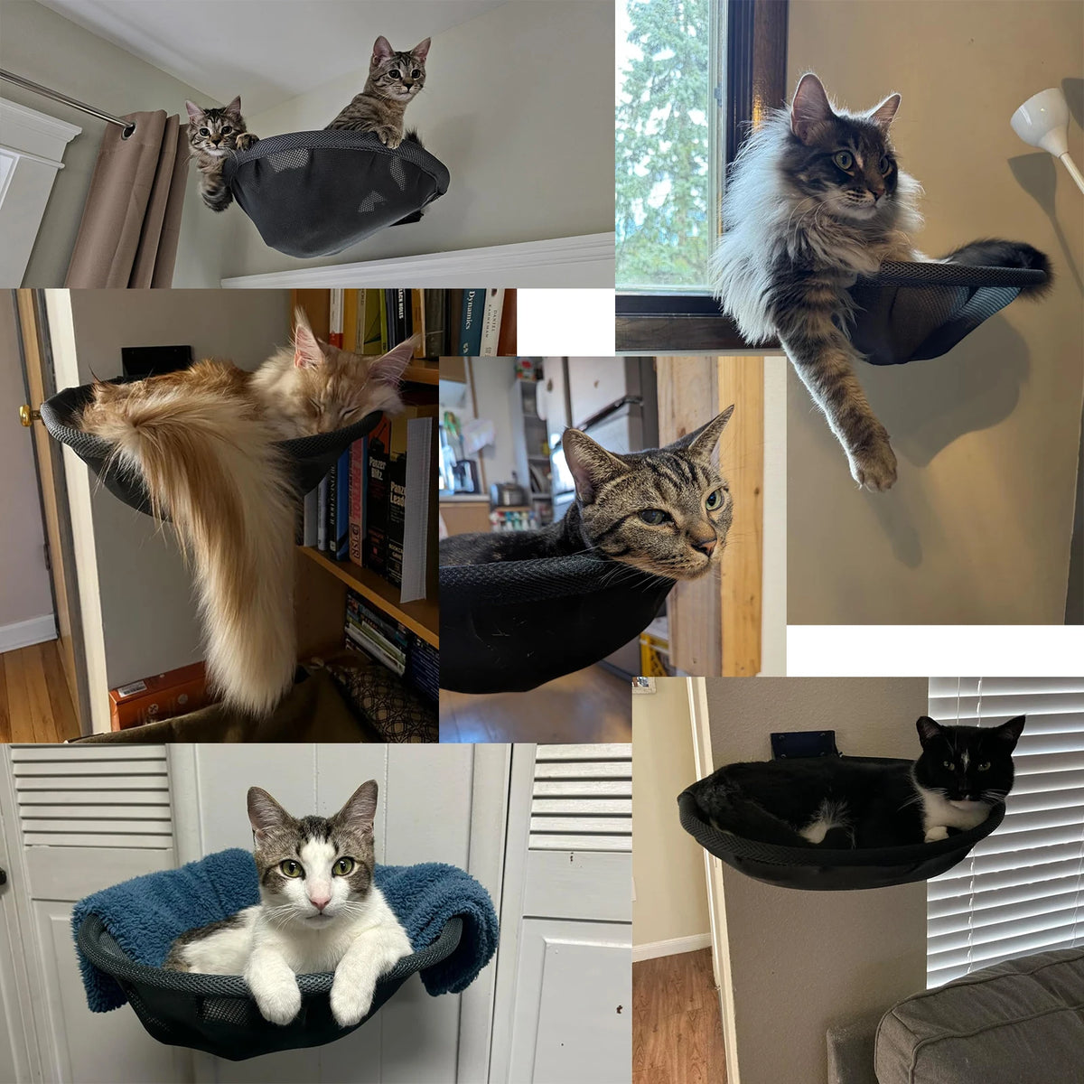 Foldable Wall-Mounted Cat Hammock
