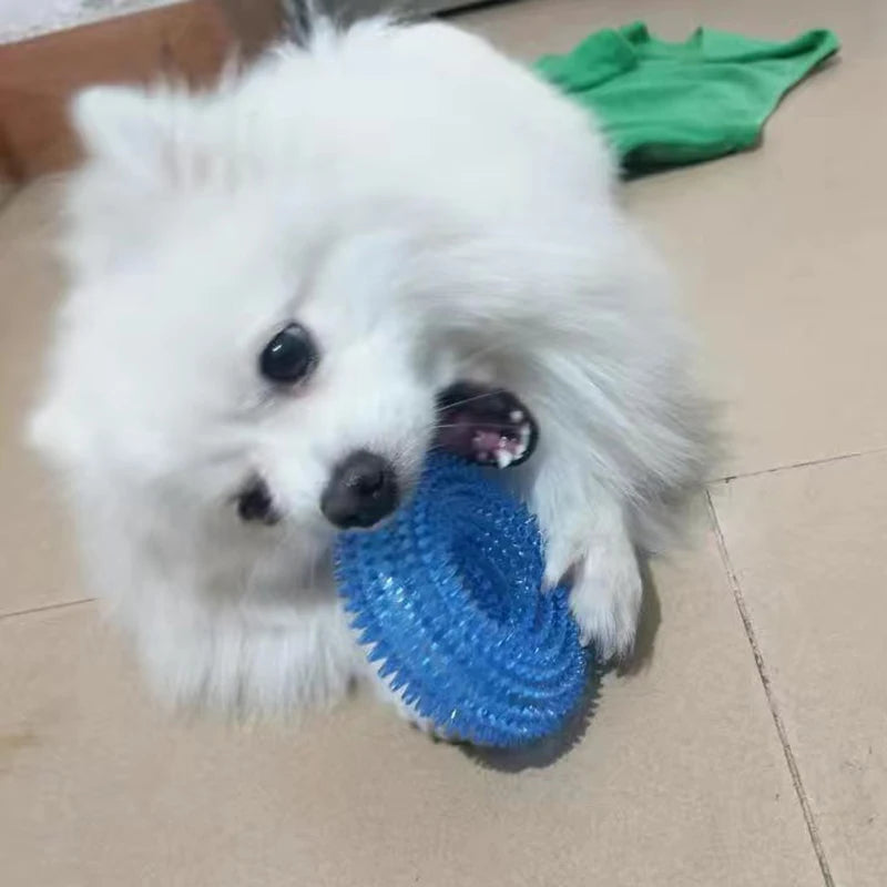 Squeaky Donut Chew Toy for Small & Medium Dogs
