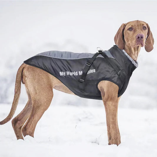 Waterproof Fleece Dog Jacket with Furry Collar & Reflective Trim