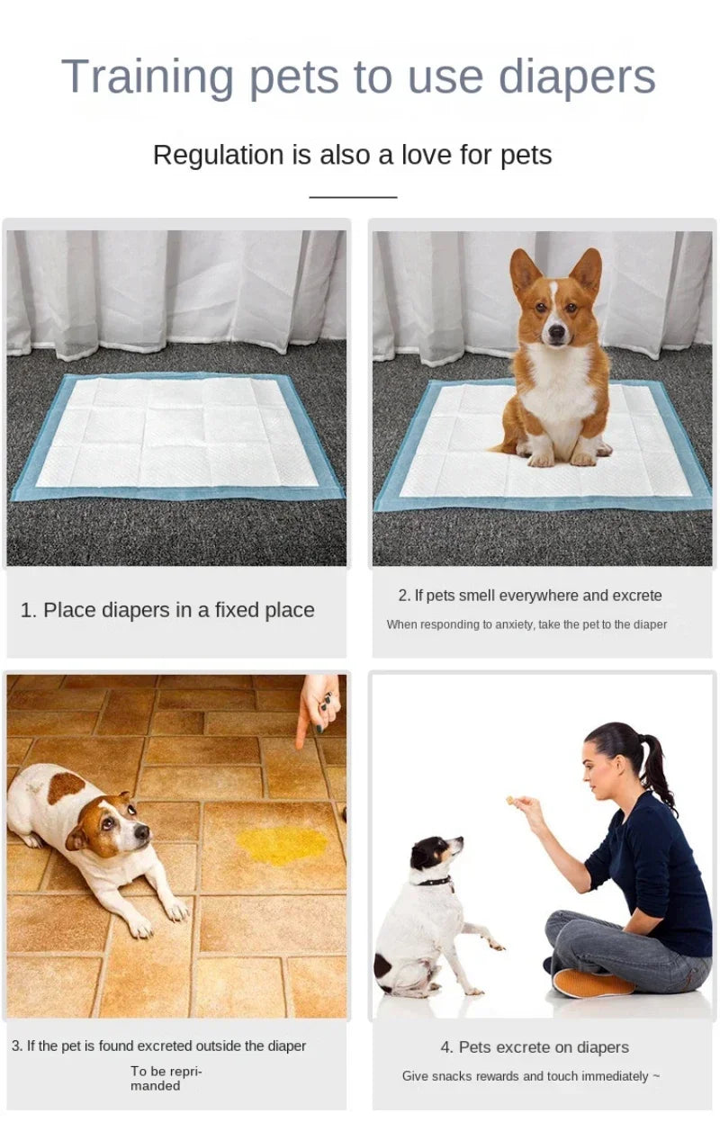 Disposable Puppy Training Pads — Absorbent Quick-Dry Pee Mats for Dogs