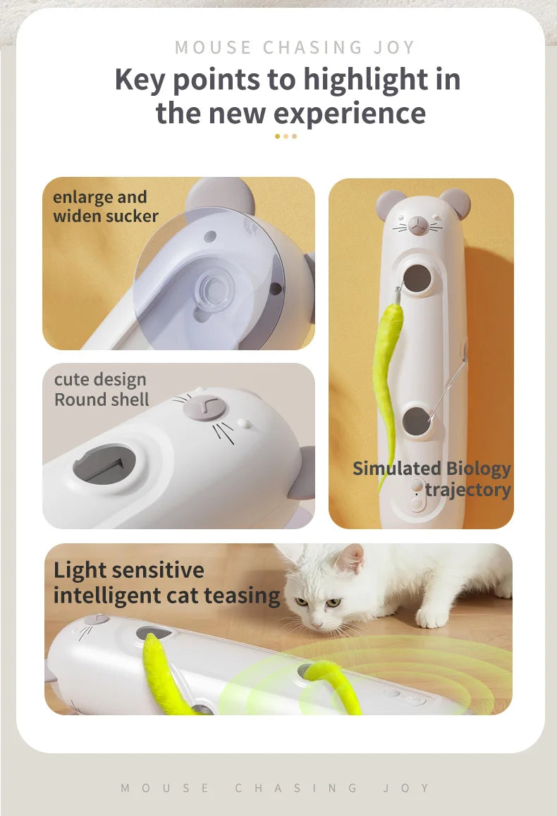 Interactive Caterpillar Cat Toy