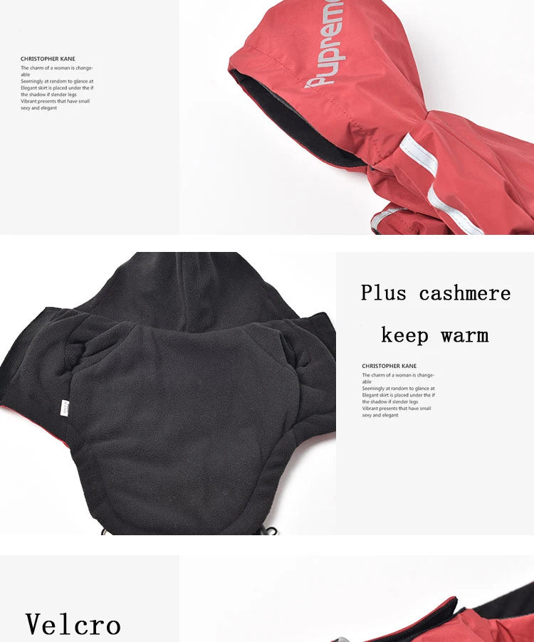 Manteau imperméable à capuche pour chien
