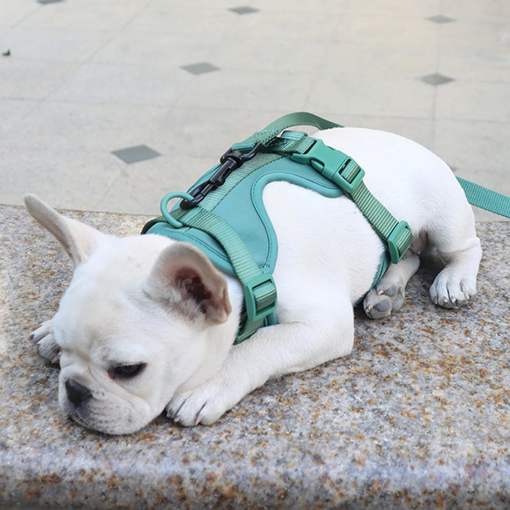 Breathable Adjustable Dog Harness Vest