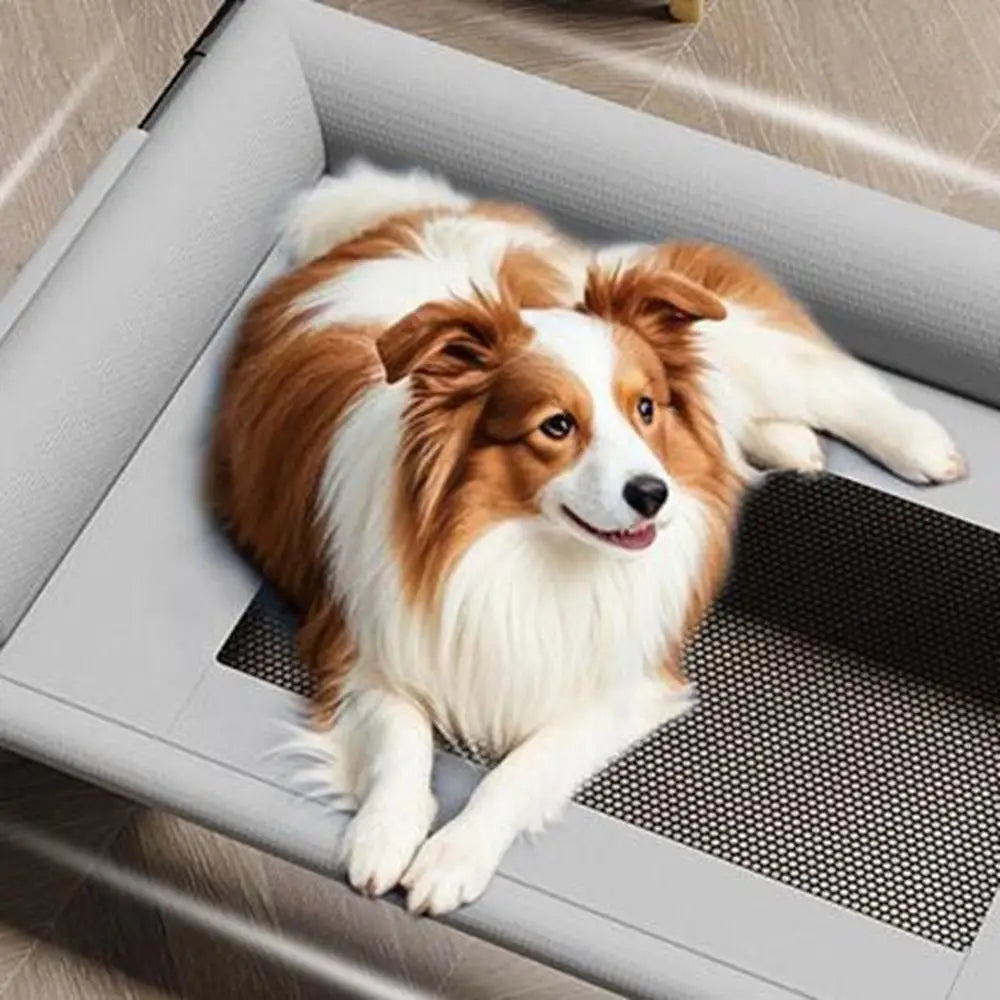 Elevated Mesh Dog Bed with Pillow — Breathable Raised Outdoor & Indoor Pet Bed