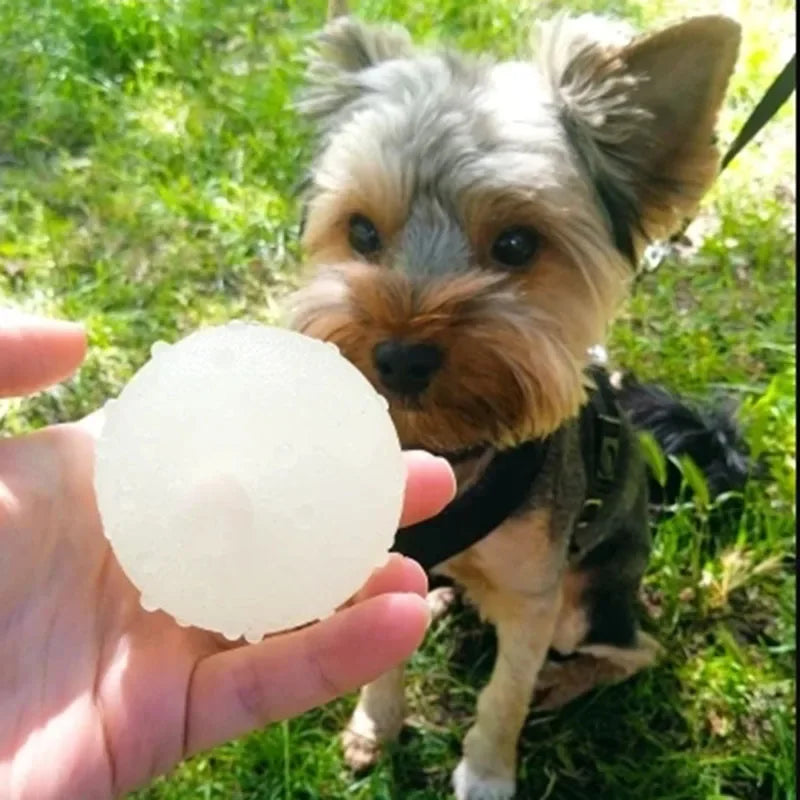 Reflective Bouncing Ball Dog Toy