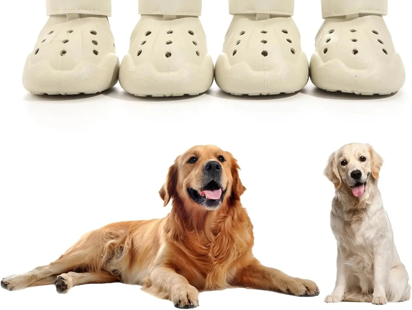 Chaussures pour chien pour trottoir chaud