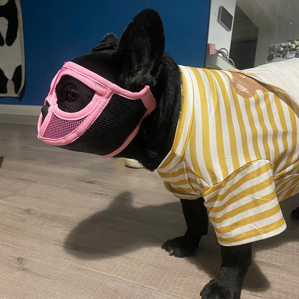 Breathable Mesh Dog Muzzle | Anti-Bite & Anti-Ingestion