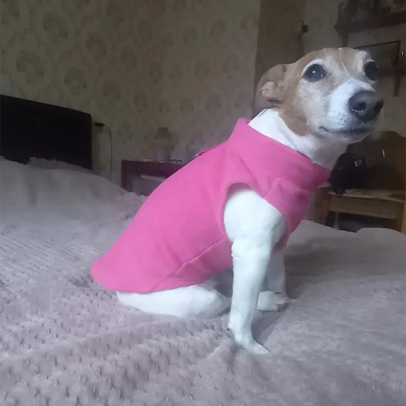 Gilet Polaire pour Petits Chiens et Chats | Manteau d'Hiver Chaud pour Chihuahuas et Bouledogues Français