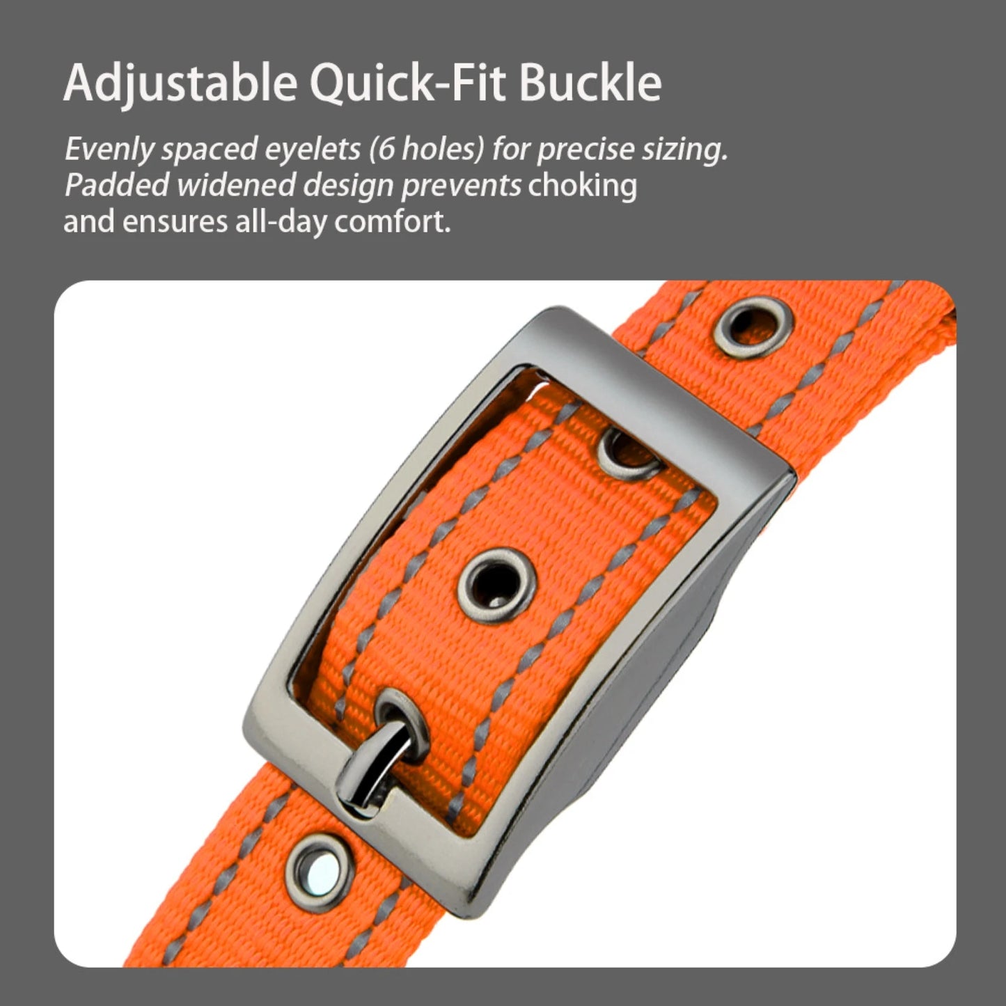 Neoprene Padded Reflective Dog Collar with Metal Buckle