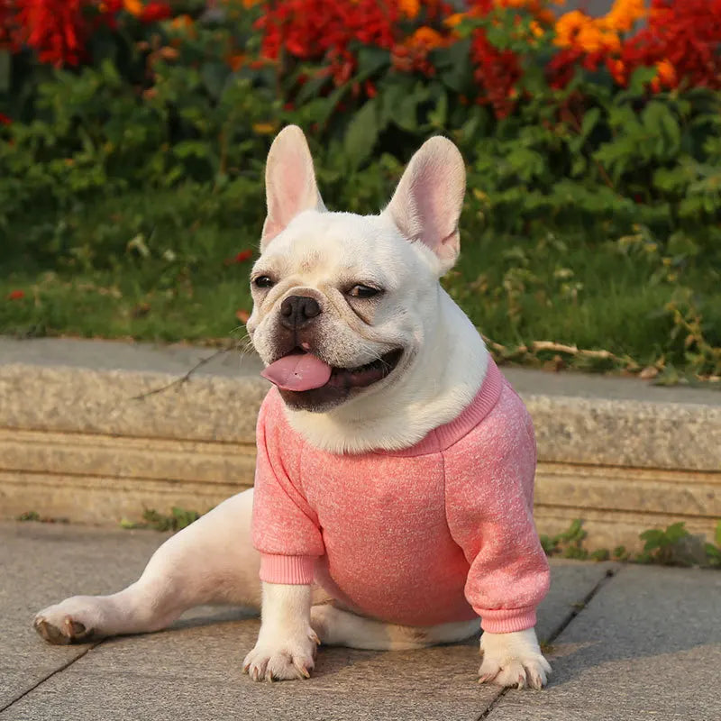 Winter Pet Jacket - Warm Coat for Dogs and Cats