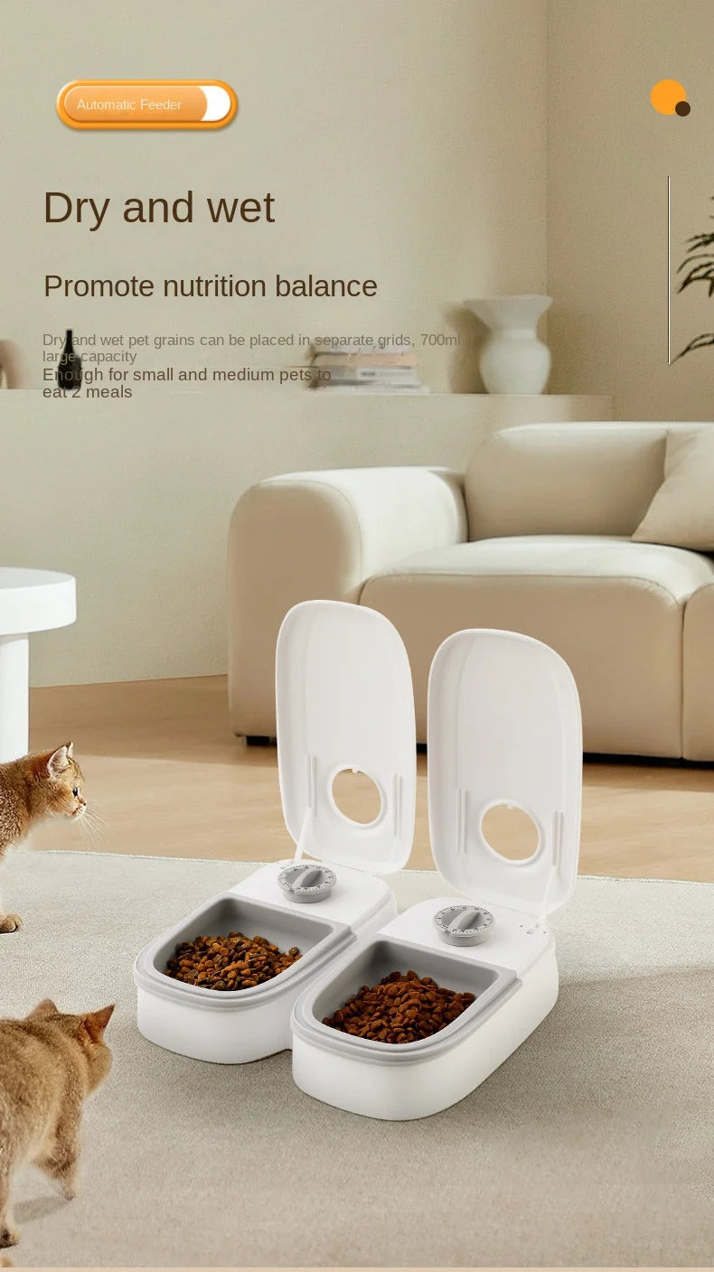 Single-Meal Automatic Pet Feeder with Timer & Cooling Pack