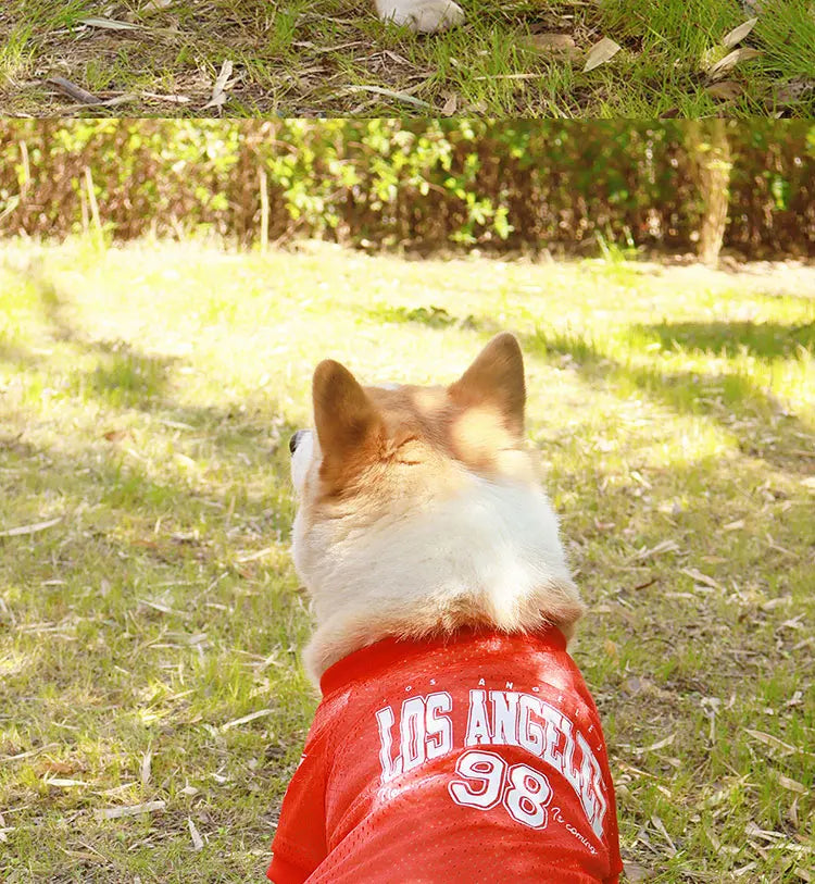LA Style Dog Cooling Vest | Summer Breathable Shirt for Small to Large Dogs