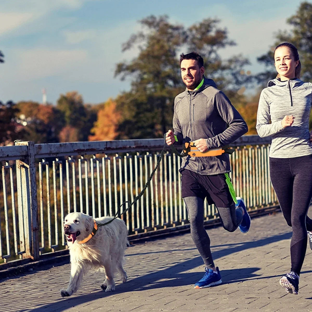 Laisse pour chien mains libres avec ceinture réfléchissante et pochette de rangement