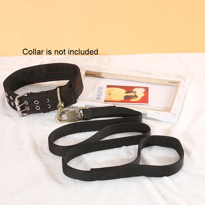 Ensemble laisse et collier pour chien en nylon robuste