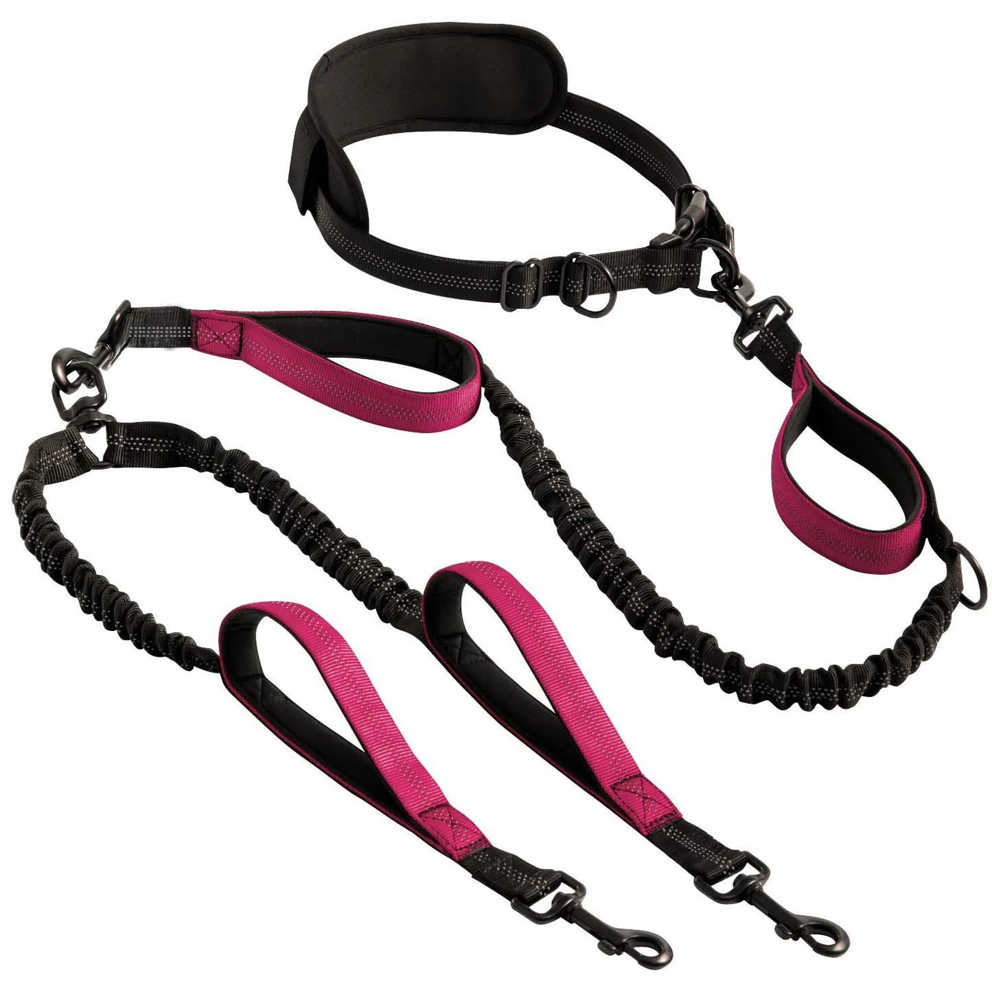 Double Dog Leash with Elastic Shock Absorber