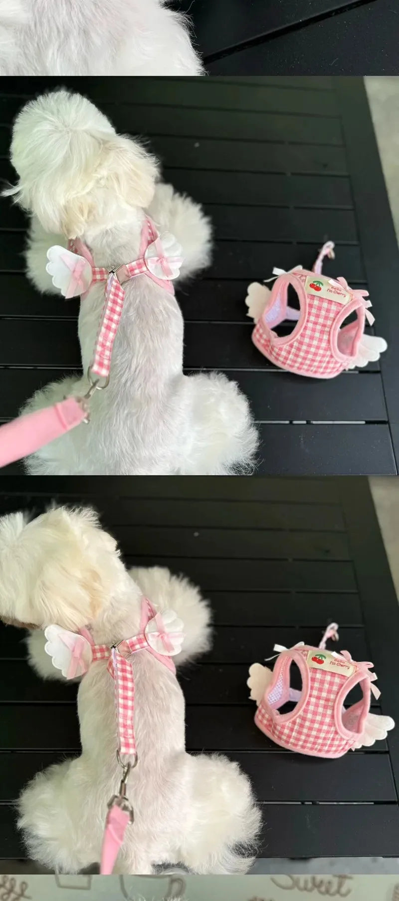 Ensemble harnais et collier en cuir de qualité supérieure pour chien