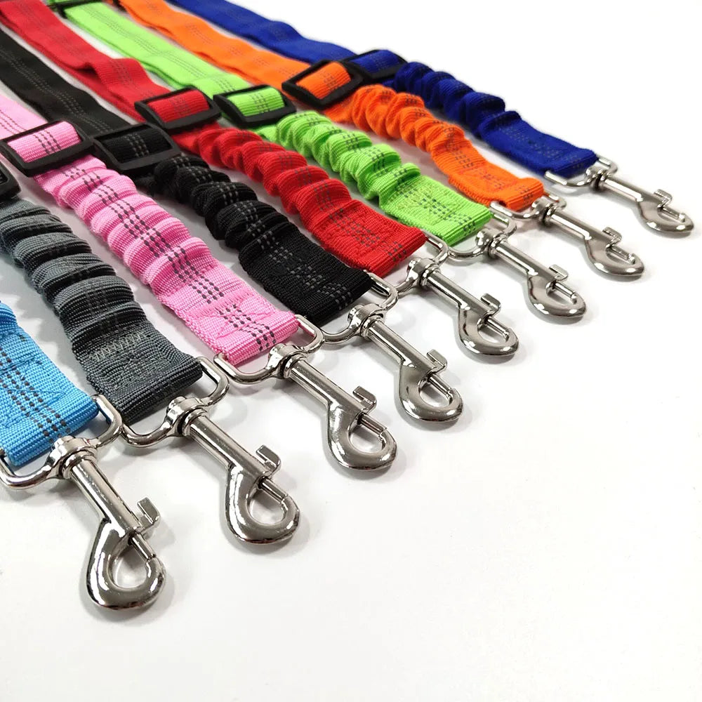 Ceinture de sécurité rétractable pour chien avec bande réfléchissante