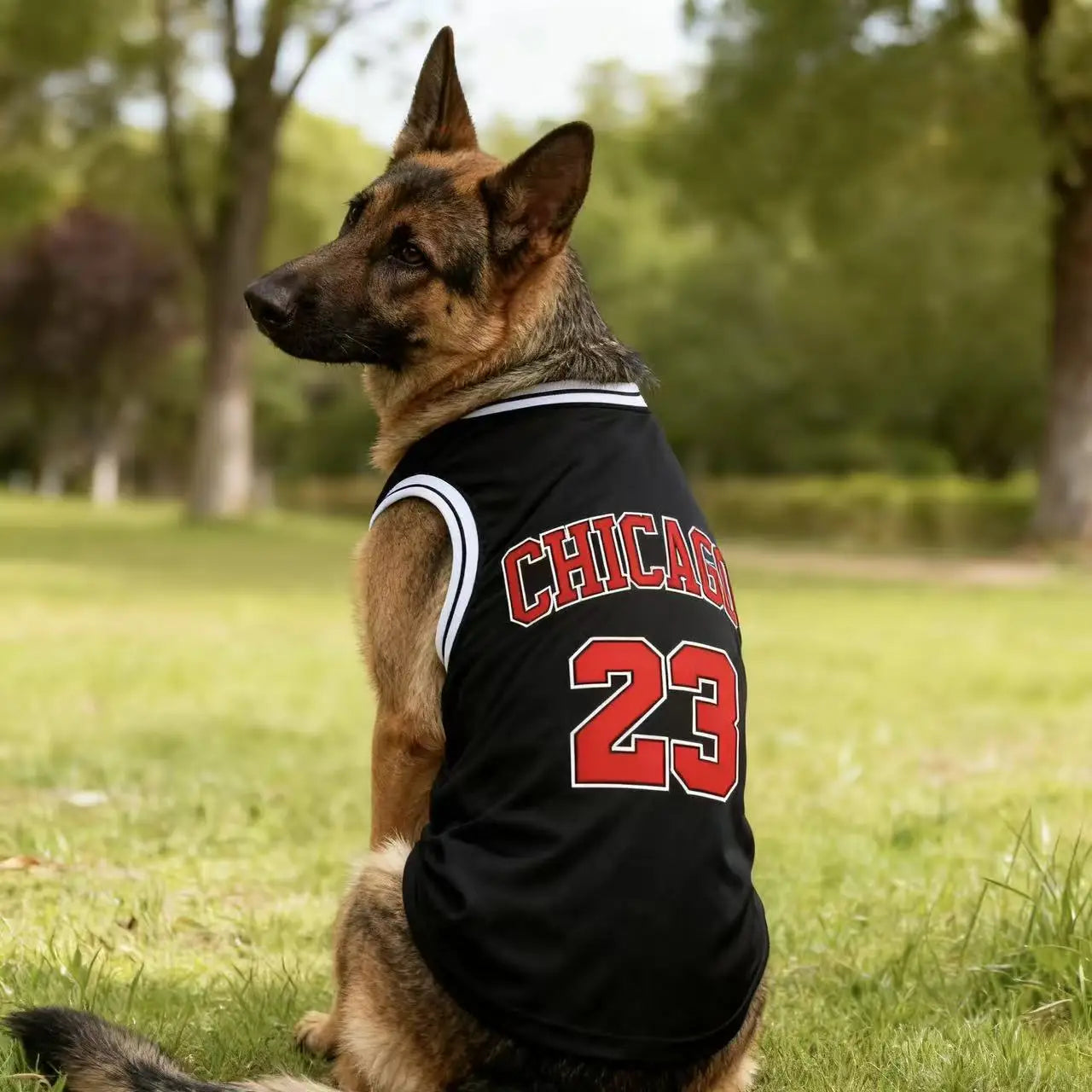 Maillot de refroidissement en maille pour chien de basket-ball de Chicago | Haut d'été respirant pour chiens de taille moyenne et grande