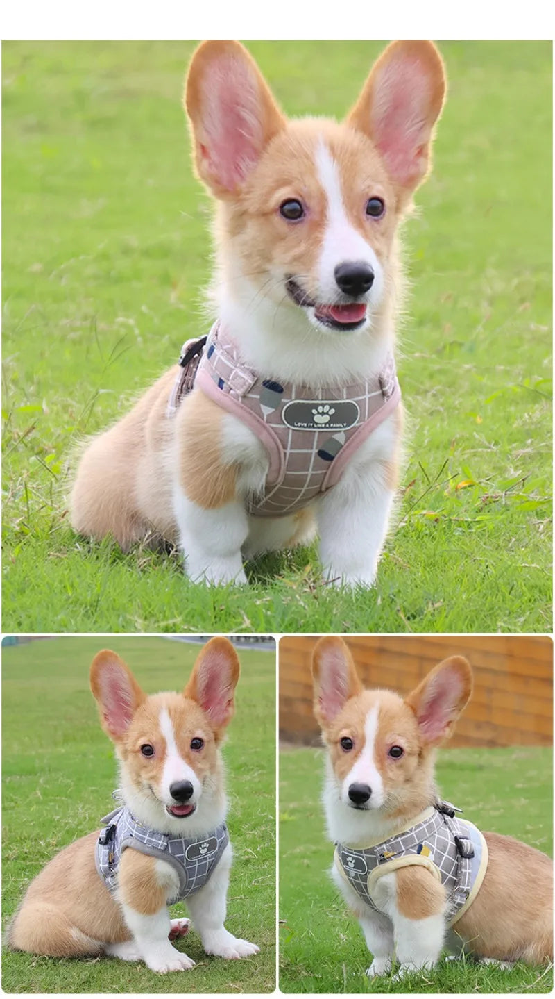 Adjustable Reflective Vest Harness & Leash Set for Small Dogs & Cats