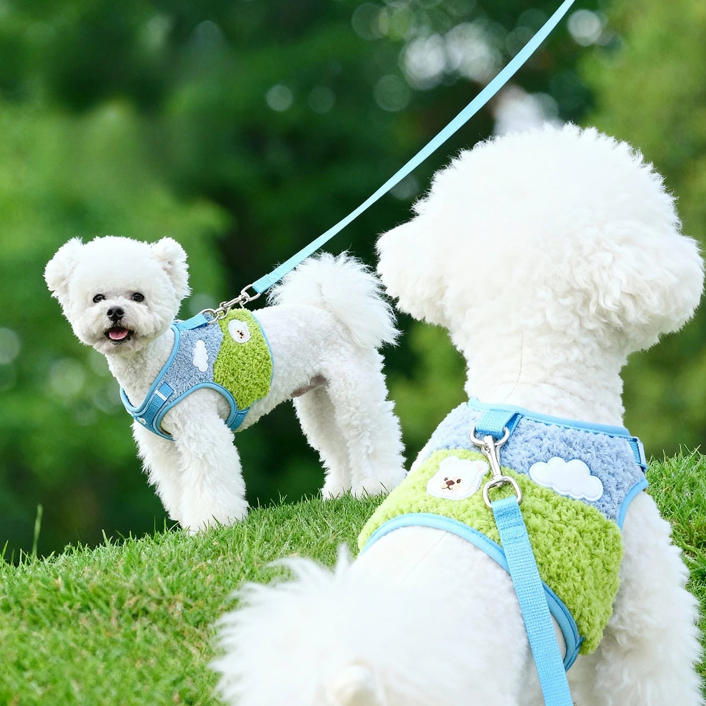 Adjustable Harness & Leash Set for Small Dogs & Cats