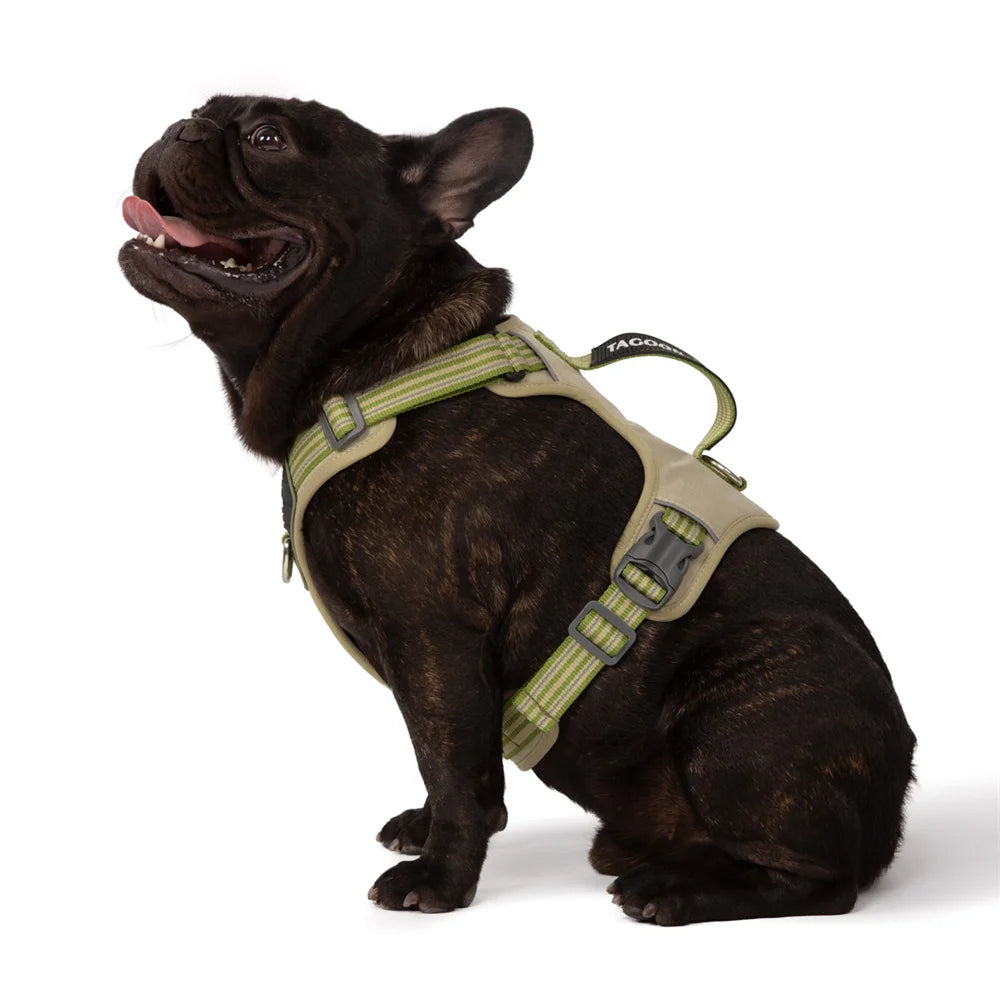 No Pull Big Dog Harness with Handle for Small Medium Large Dogs Weimaraner Doberman Pinscher Fashion Durable Pet Vest Harnesses