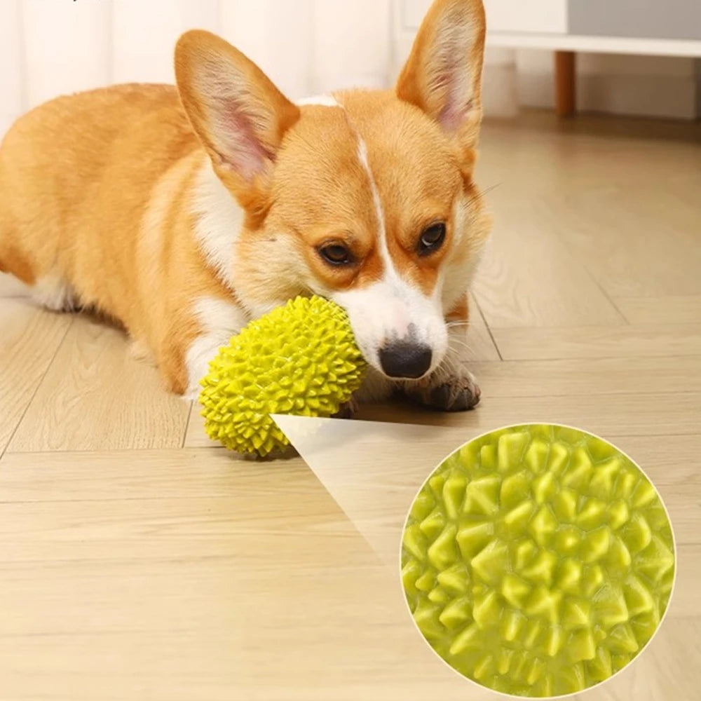 2Pcs/3Pcs Pet Chew Toys Fruit Vegetable Shapes with Squeaky for Small Medium Dogs Hot Sale Dog Accessories Juguetes Para Perros