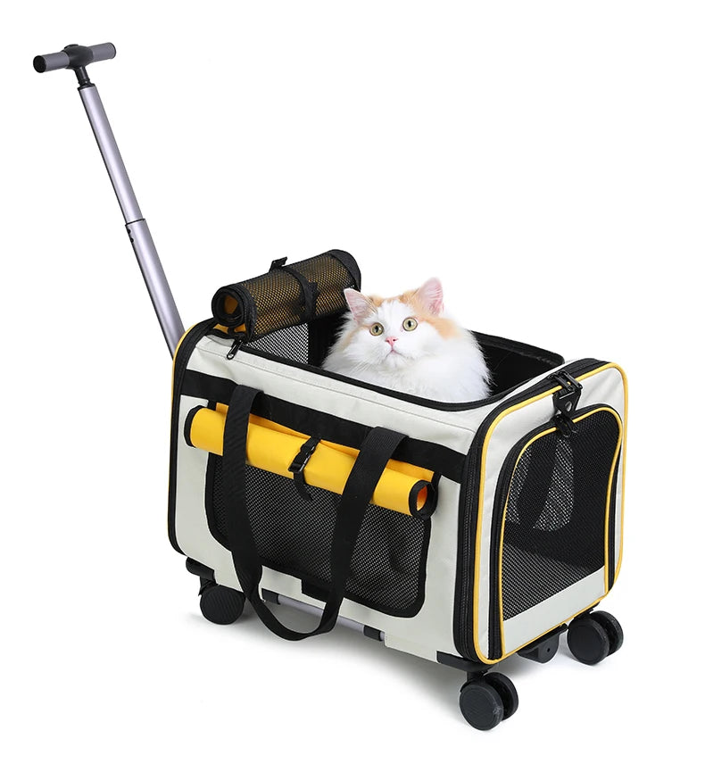 Sac de transport pliable pour animaux de compagnie — Grande valise de voyage détachable