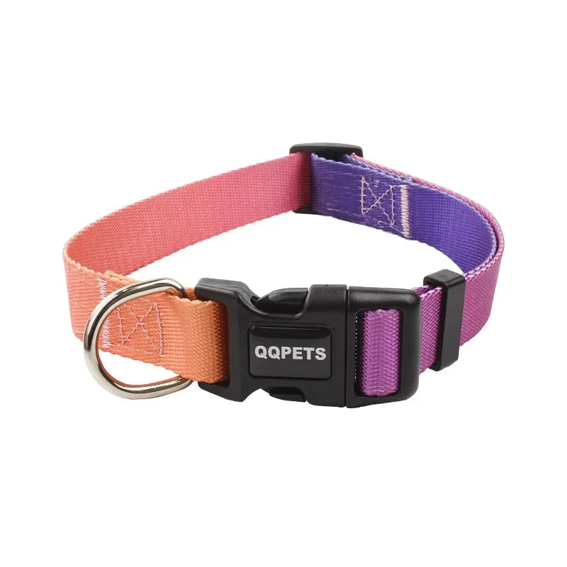 Ensemble laisse et collier réglables en nylon pour chiens - Pour petits et grands chiens