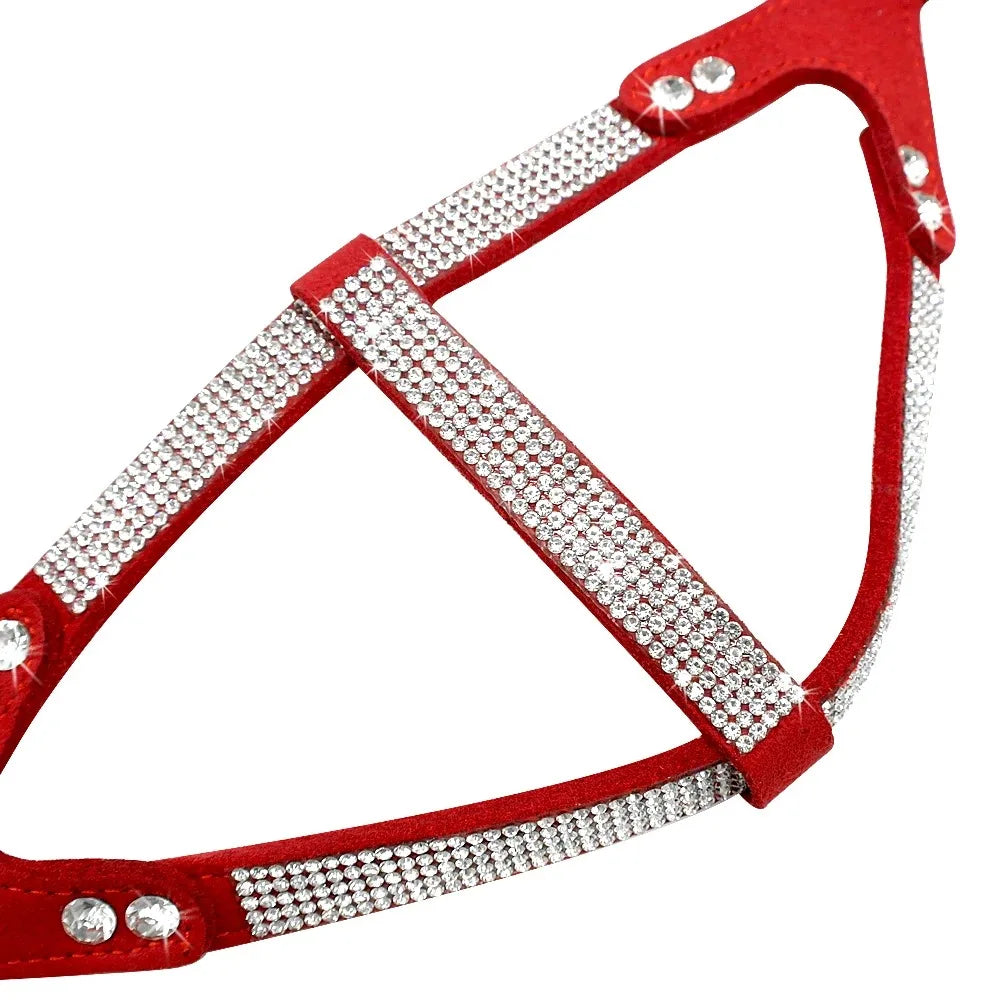 Harnais universel pour chien – Accessoires pour animaux de compagnie petites et grandes races