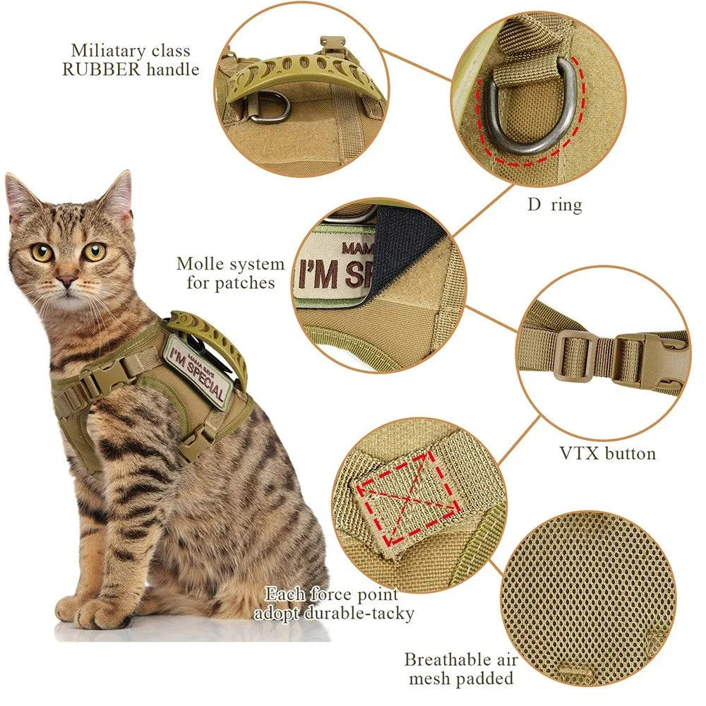 Ensemble harnais et laisse doux pour chat avec collier