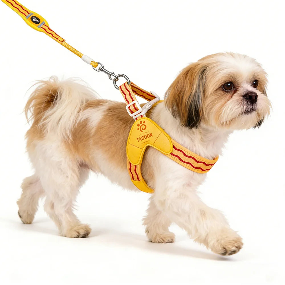 Dopamine Saddle Dog Harness with Leash Set for Small Dogs Comfortable Mesh Breathable Pet Harness for Schnauzer Shiba Inu Puppy