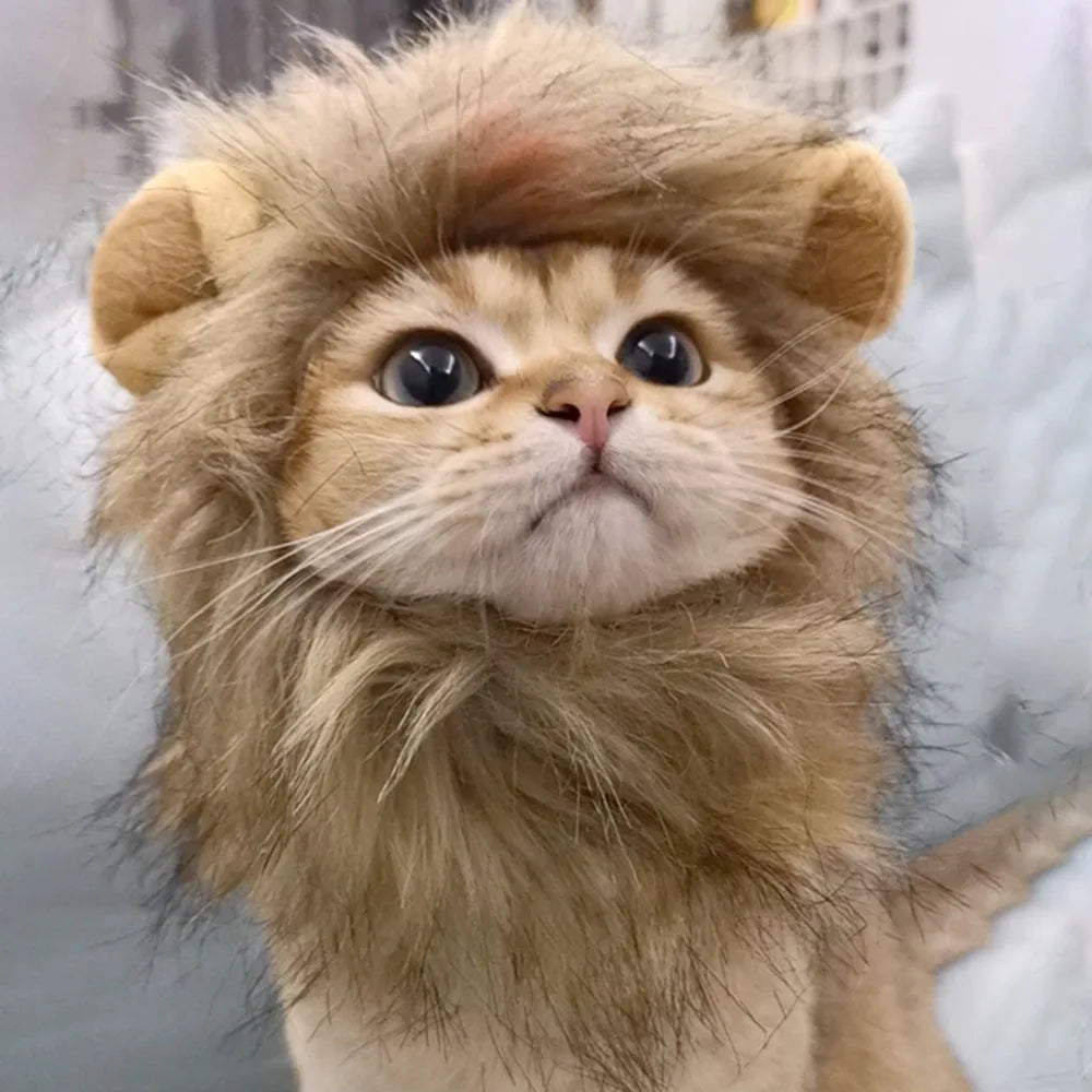 Lion Mane Wig for Cats & Small Dogs – Fancy Dress Costume