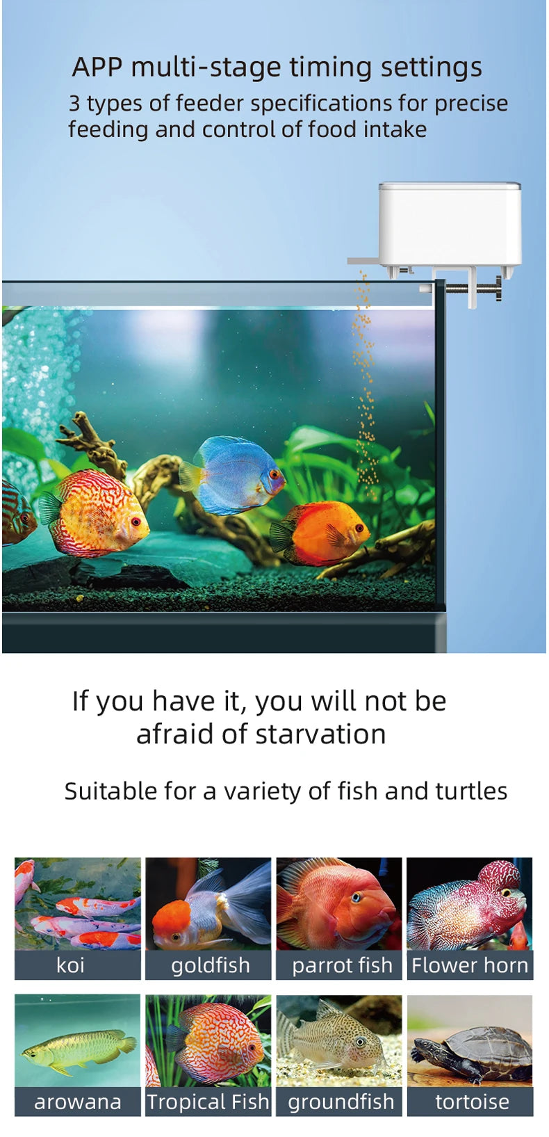 Smart WiFi Automatic Fish and Turtle Feeder - Multiple Capacity Options