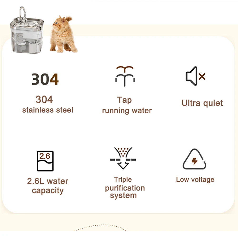 Pet Water Fountain with Stainless Steel & Clear Reservoir