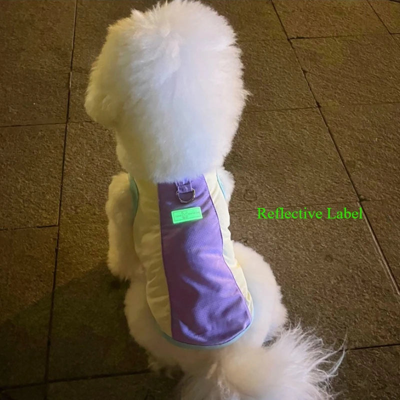 Gilet rafraîchissant réfléchissant et t-shirt d'été pour chiens et chats de petite, moyenne et grande taille