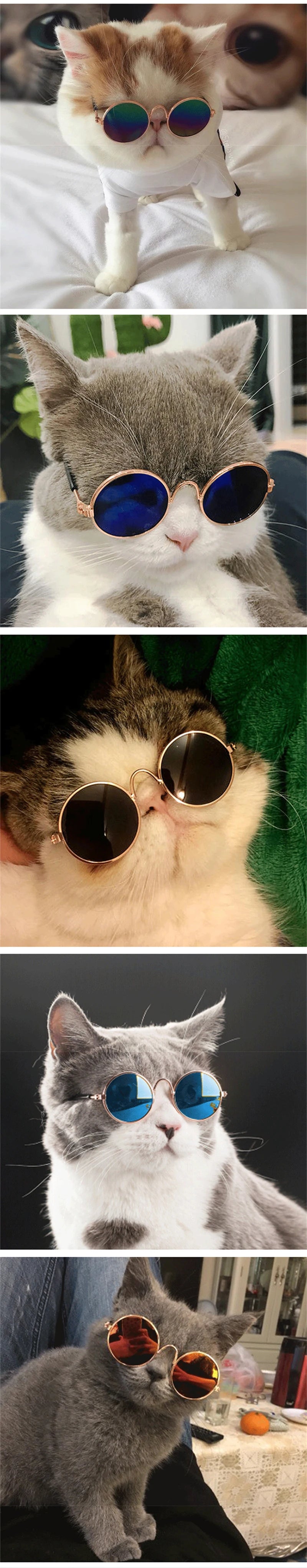 Mini Sunglasses for Cats & Small Dogs