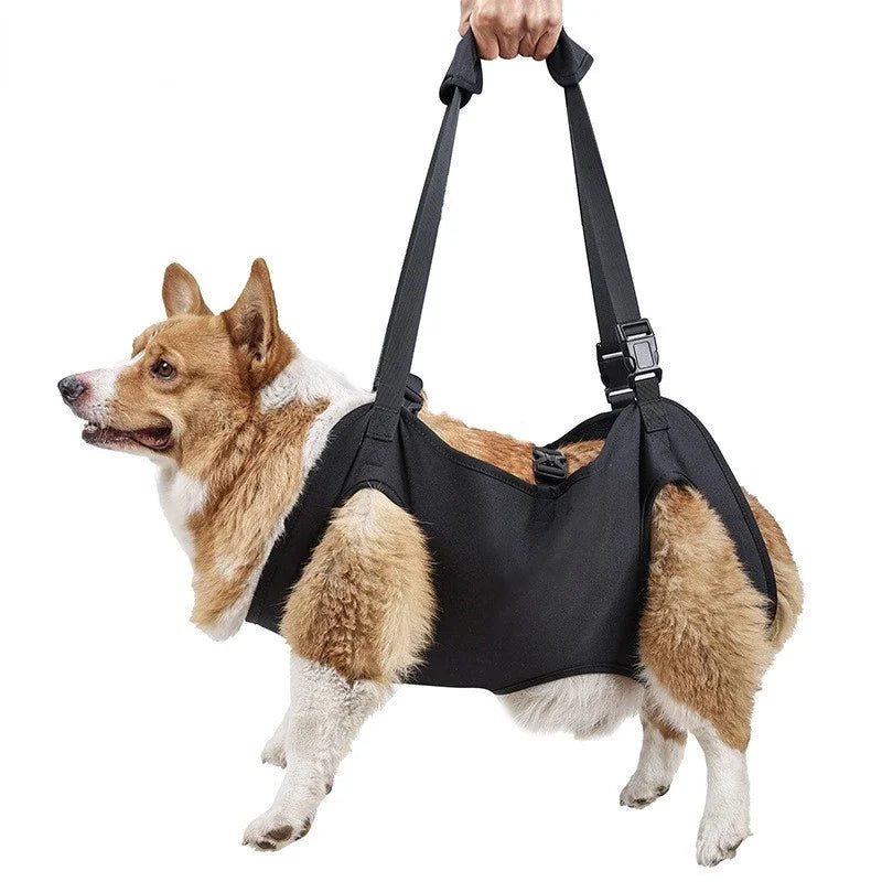 Harnais de levage intégral pour chien - Sangle de soutien réglable pour la mobilité et la rééducation