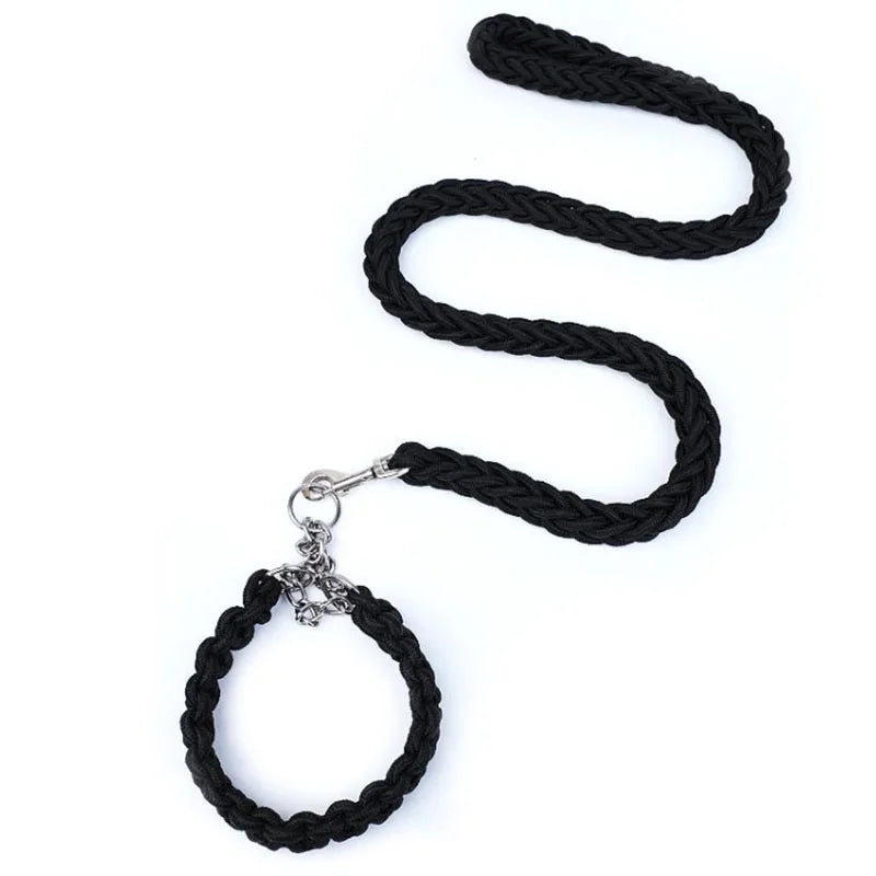 Ensemble laisse et collier réglables pour chiens de taille moyenne à grande